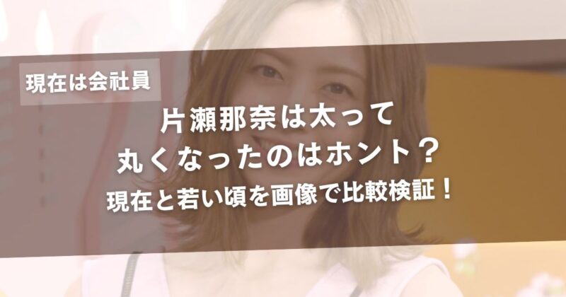 片瀬那奈は太って丸くなったのはホント？現在と若い頃を画像で比較検証！アイキャッチ画像