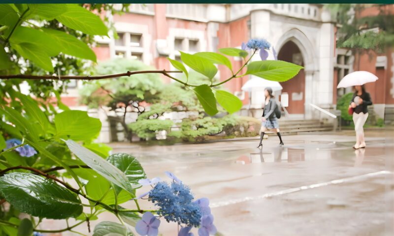 慶応義塾大学イメージ画像