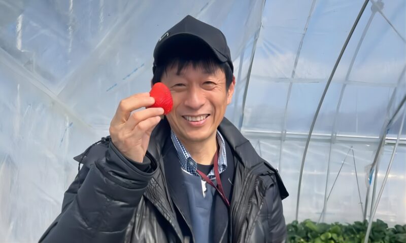 山田雅人いちご狩り