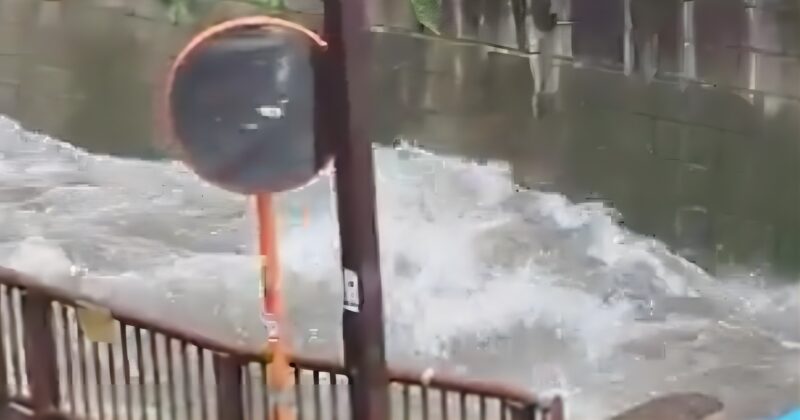 東京都の川反乱寸前