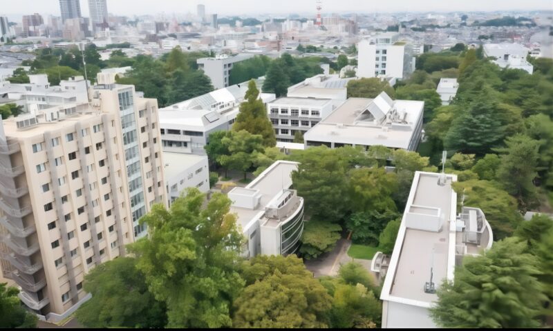 東京学芸大学上空
