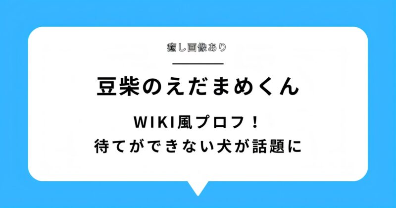 【癒し画像】豆柴のえだまめくんのwiki風プロフ！待てができない犬が話題に！アイキャッチ画像