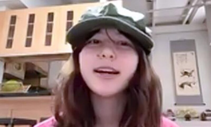 オンラインで記者会見するアリサ・リュウ