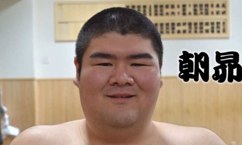 高砂部屋の期待の新人力士・朝昴（あさすばる）の顔画像