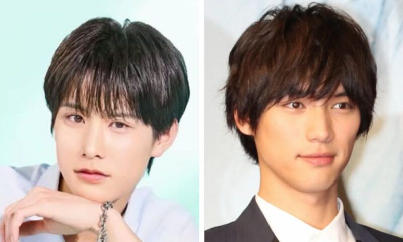 江畑皇之介（左）と福士蒼汰（右）の高い鼻筋やシャープな輪郭が似てるか検証する顔の比較画像