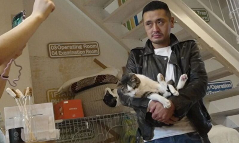 保護猫活動家の阪田泰志氏。トレードマークの黒い革ジャン姿で猫を抱き、名古屋の保護シェルターで「ねこ革命」への思いを語る様子。ザ・ノンフィクション「はぐれ者とはぐれ猫2」より。